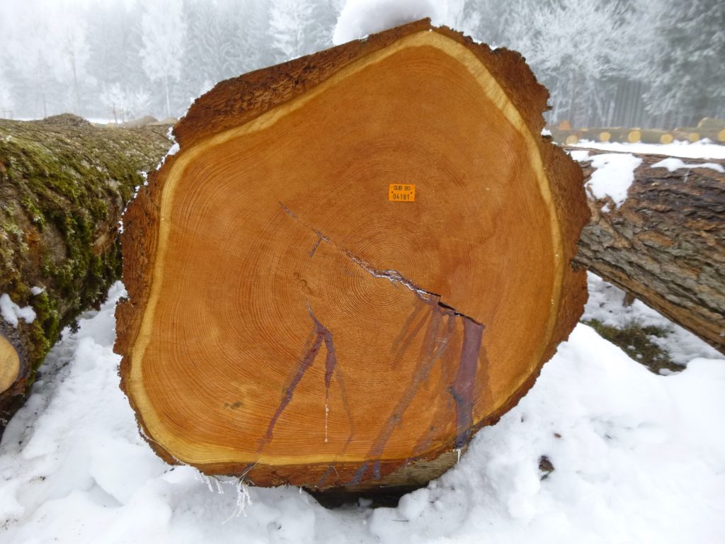 Skulptur Holz